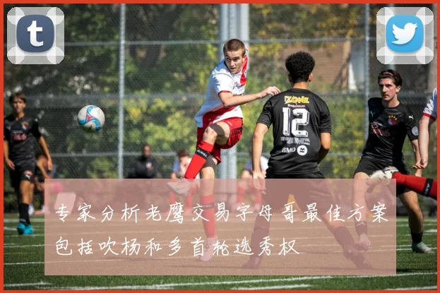 专家分析老鹰交易字母哥最佳方案包括吹杨和多首轮选秀权