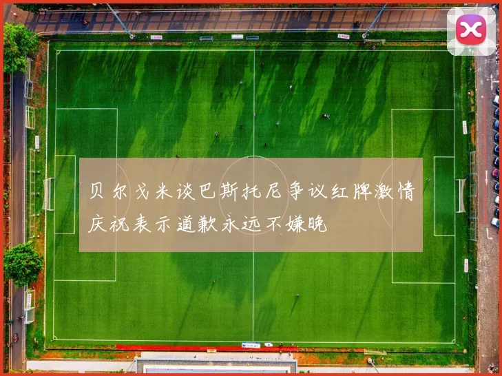 贝尔戈米谈巴斯托尼争议红牌激情庆祝表示道歉永远不嫌晚