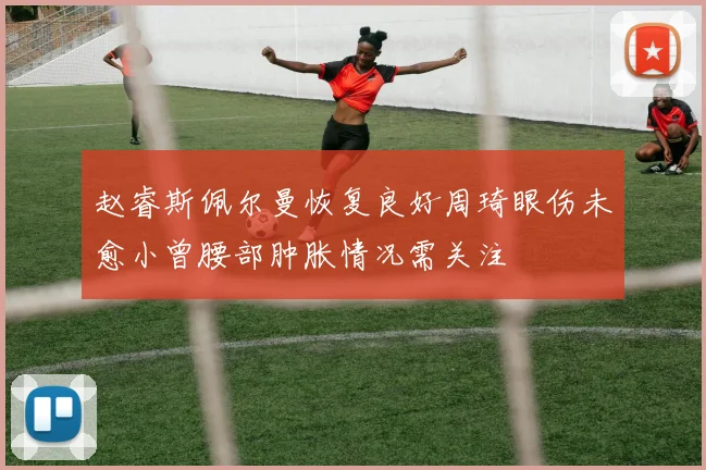 赵睿斯佩尔曼恢复良好周琦眼伤未愈小曾腰部肿胀情况需关注