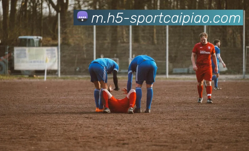 大发彩票服务体系