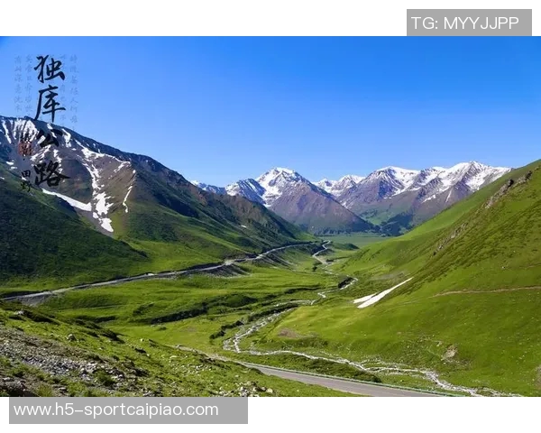 追梦之路：库里活着的传奇与公路命名的深意